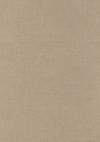 Papier  Peint Rhodium Casamance